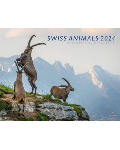 Swiss Animals 2024